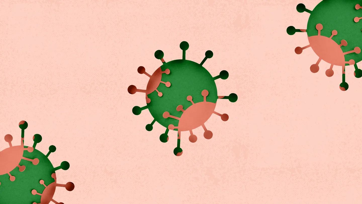 COVID-19 Variant JN.1 In India: Symptoms, Spread, And Precautions COVID-19 Variant JN.1 In India: Symptoms, Spread, And Precautions