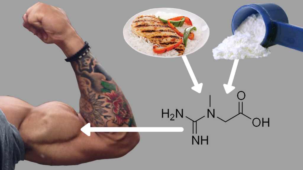 Creatine For Muscle Growth: Does It Work? Creatine For Muscle Growth: Does It Work?