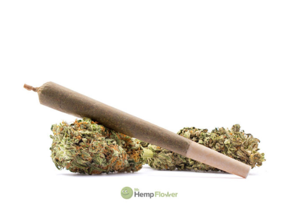 Current Georgia Hemp Laws: Products Available For Purchase Current Georgia Hemp Laws: Products Available For Purchase