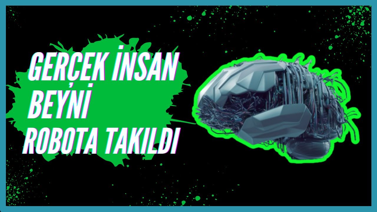 Dahilik Geni: Zekanın Burçlarla İlişkisi Dahilik Geni: Zekanın Burçlarla İlişkisi