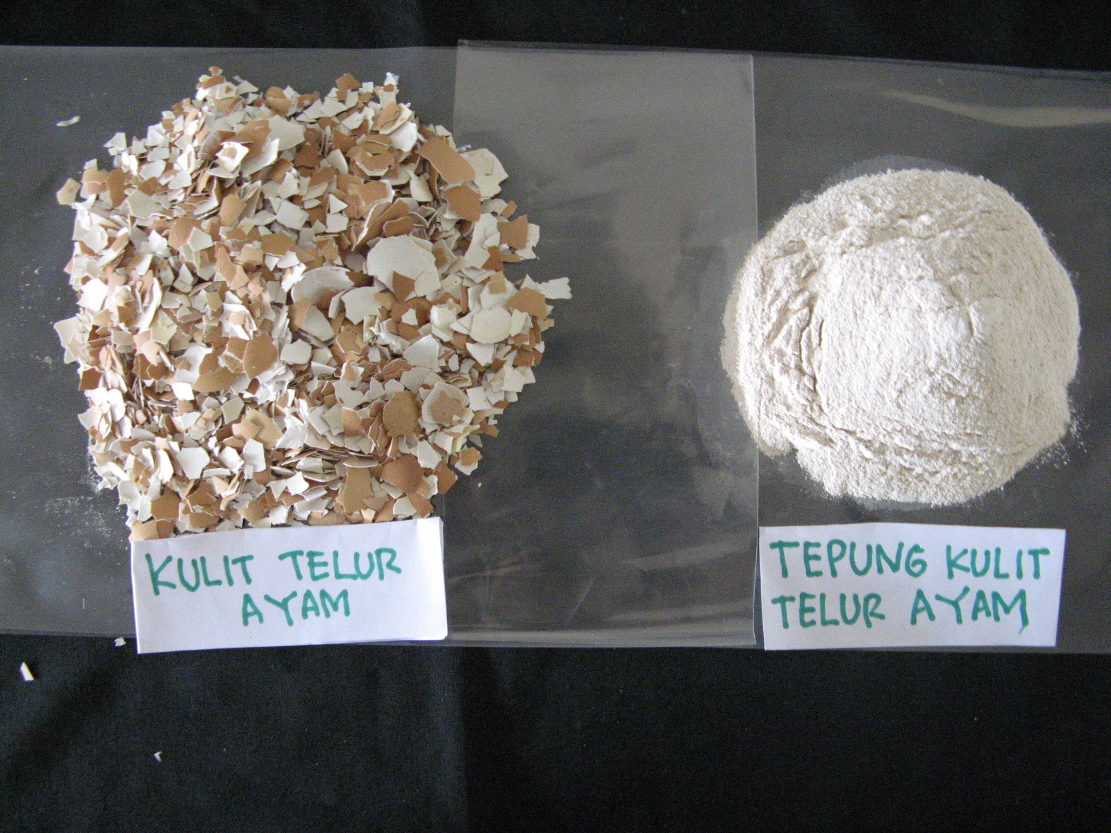 Dari Sampah Menjadi Harta: Manfaat Cangkang Telur Untuk Pertanian & Peternakan Dari Sampah Menjadi Harta: Manfaat Cangkang Telur Untuk Pertanian & Peternakan