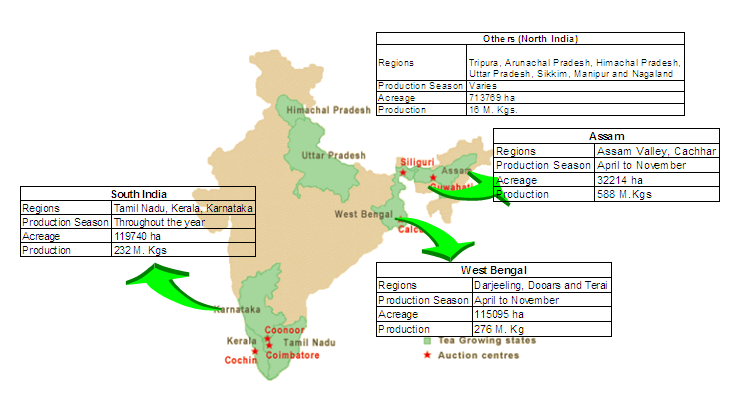 Darjeeling Tea Production: Growing Concerns Darjeeling Tea Production: Growing Concerns