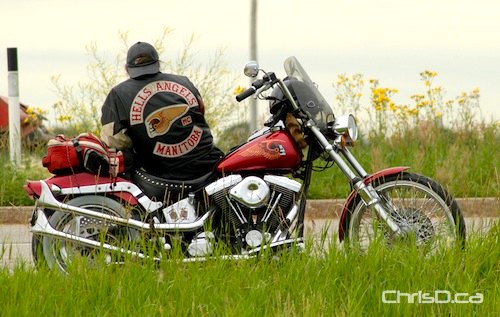 Deciphering The Hells Angels: An Examination Of Their Organization Deciphering The Hells Angels: An Examination Of Their Organization