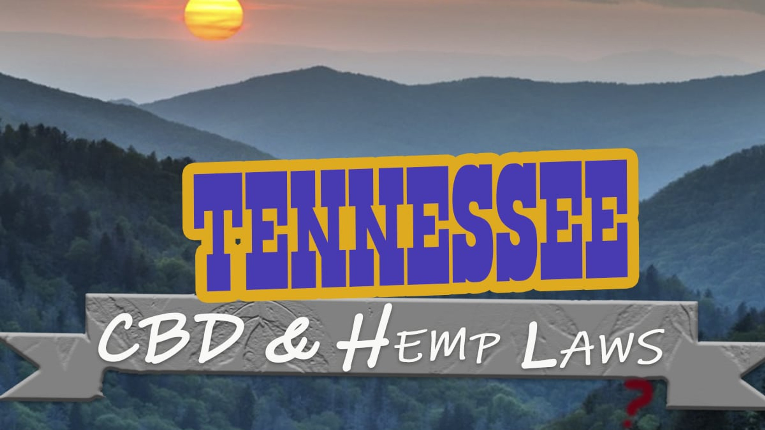 Decoding Georgia's Hemp Laws: A Practical Buyer's Guide Decoding Georgia's Hemp Laws: A Practical Buyer's Guide