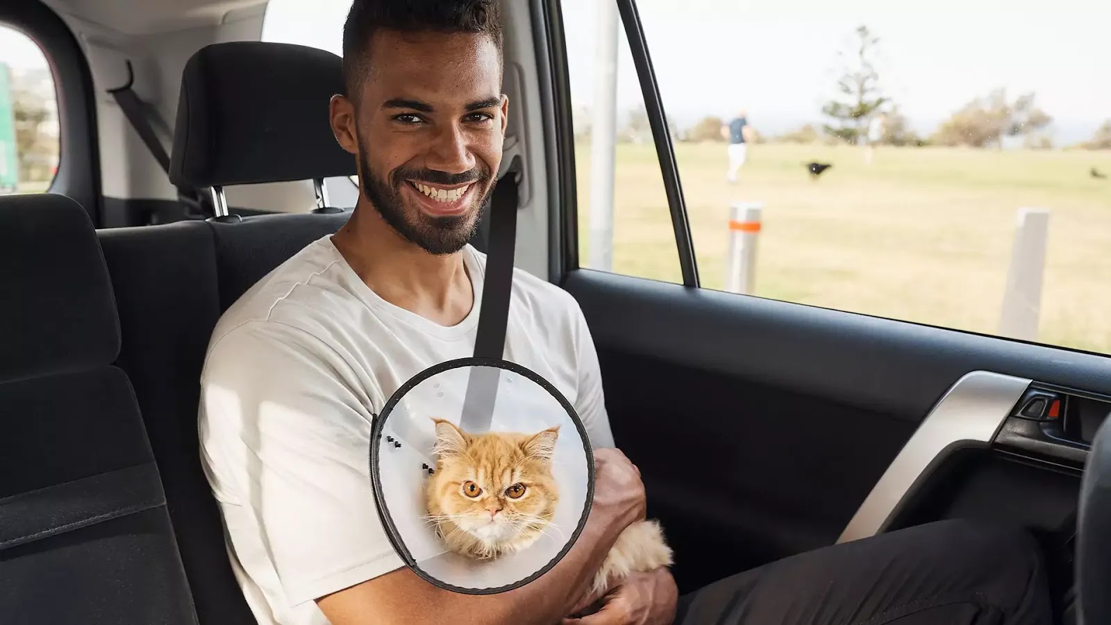 Delhi And Mumbai Get Uber Pet: Convenient Pet Travel Options Delhi And Mumbai Get Uber Pet: Convenient Pet Travel Options
