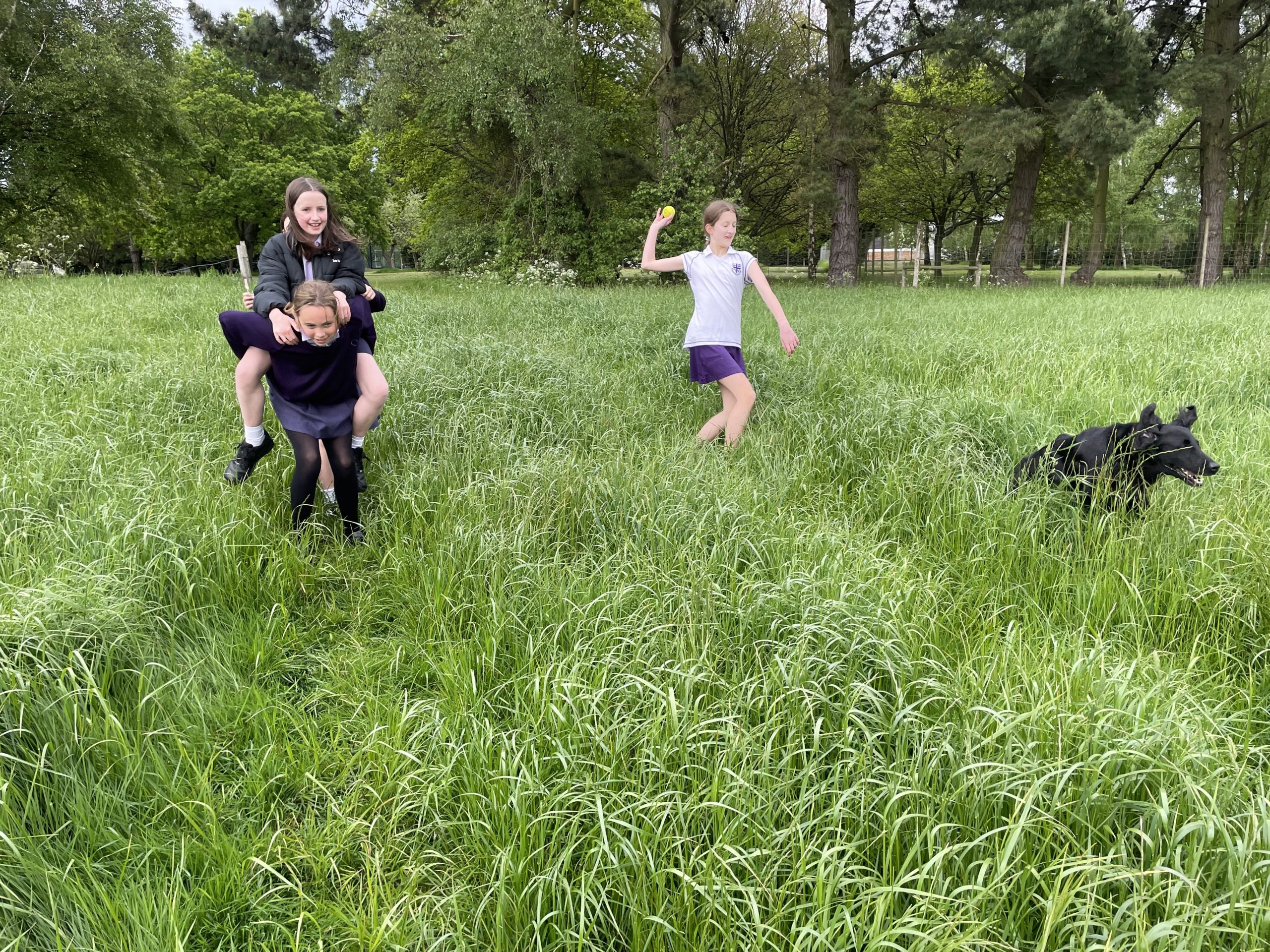Didcot Dog Walk Supports Mental Health Awareness Week Didcot Dog Walk Supports Mental Health Awareness Week