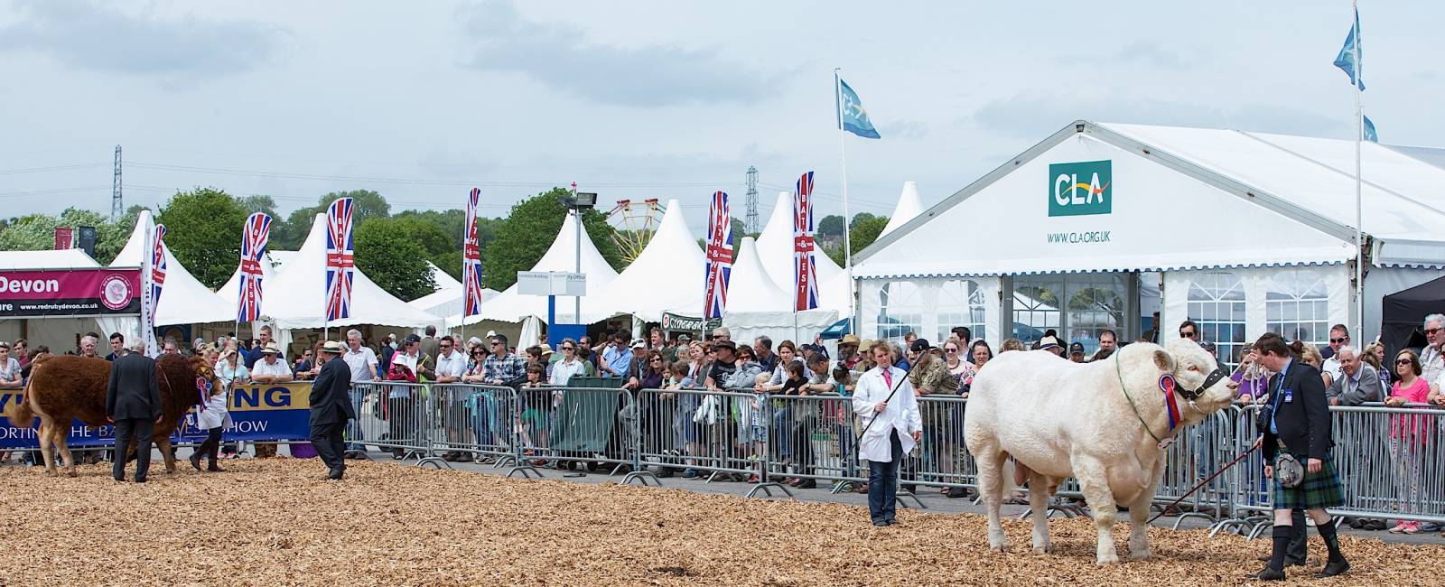 Discover The Royal Bath & West Show: Half-Term Family Fun & Show Packs Discover The Royal Bath & West Show: Half-Term Family Fun & Show Packs