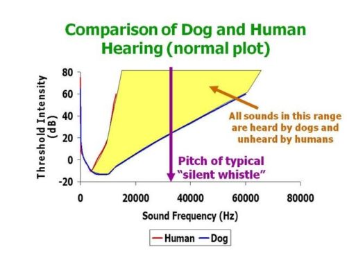 Dog Whistle Or Fog Horn? Analyzing Rupert Lowe's Communication Strategy On X For UK Reform Dog Whistle Or Fog Horn? Analyzing Rupert Lowe's Communication Strategy On X For UK Reform