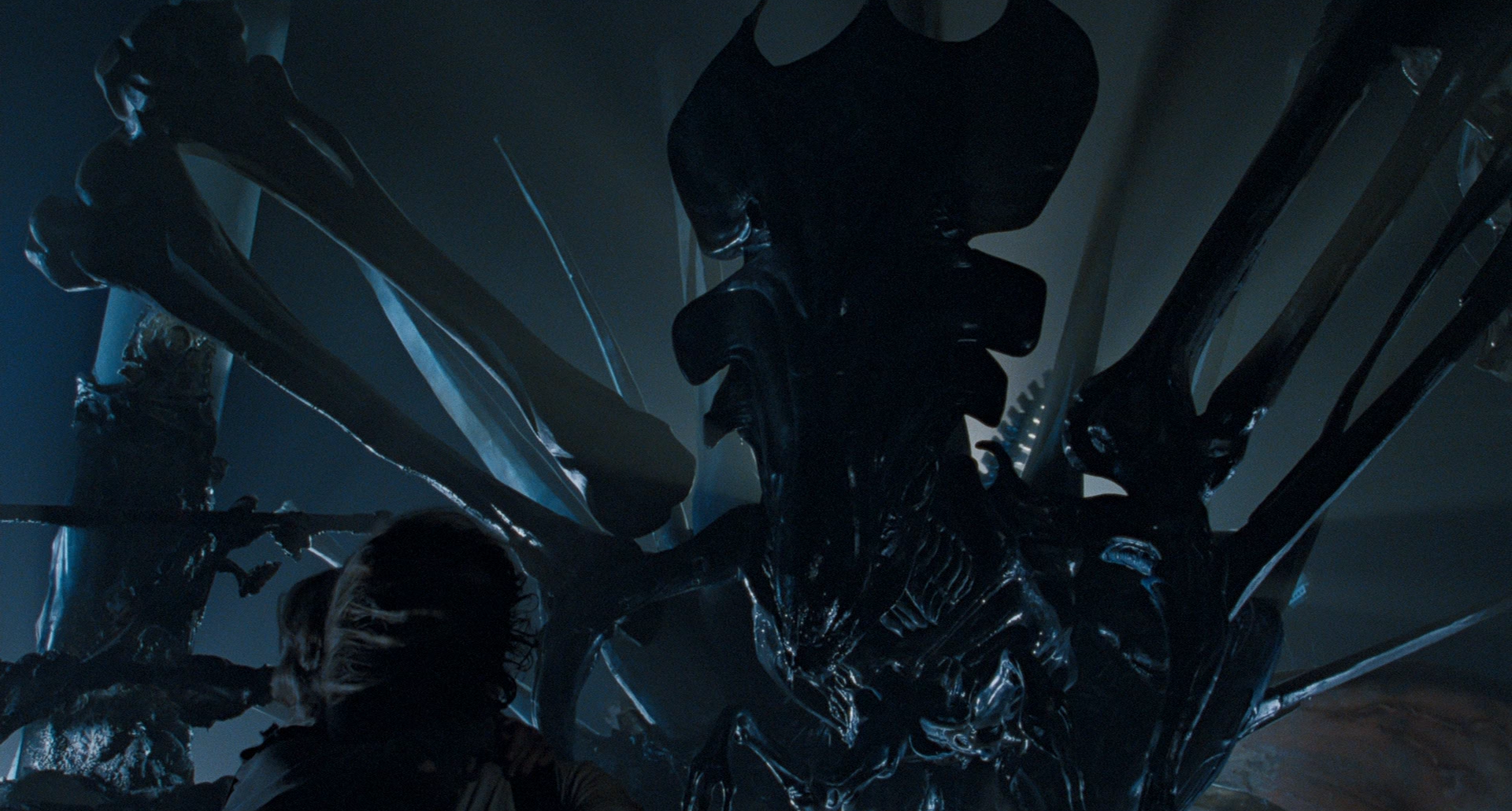 Earth's Alien Life: Predicting The Next Non-Xenomorph Discovery