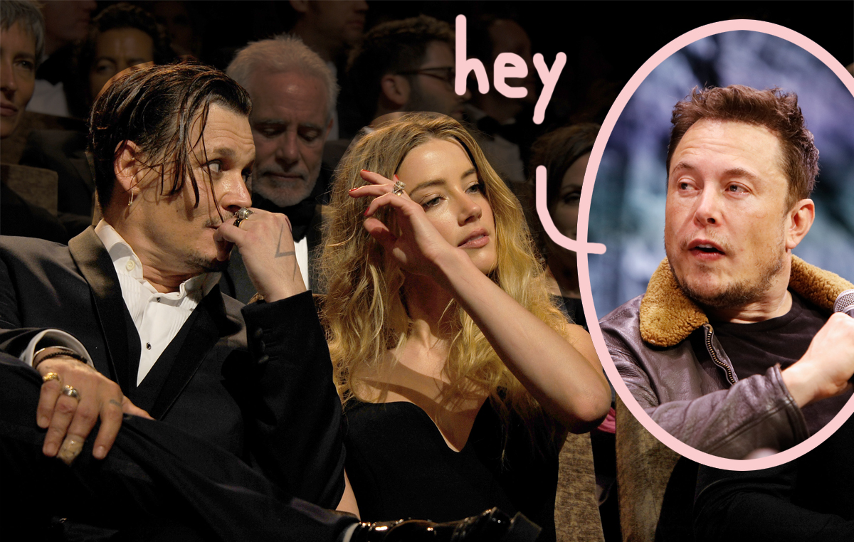 Elon Musk Denies Paternity: The Amber Heard Twins Controversy Explained Elon Musk Denies Paternity: The Amber Heard Twins Controversy Explained