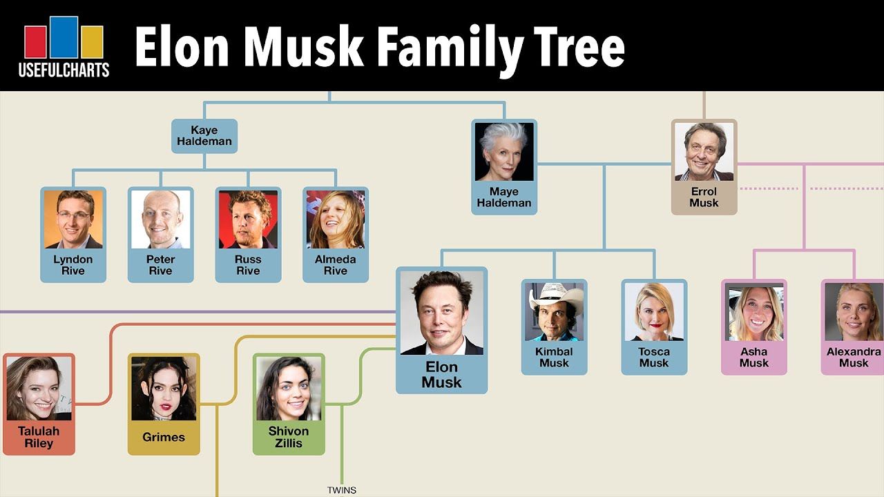 Elon Musk's Family Fortune: Maye Musk On Their Long Road To Success Elon Musk's Family Fortune: Maye Musk On Their Long Road To Success