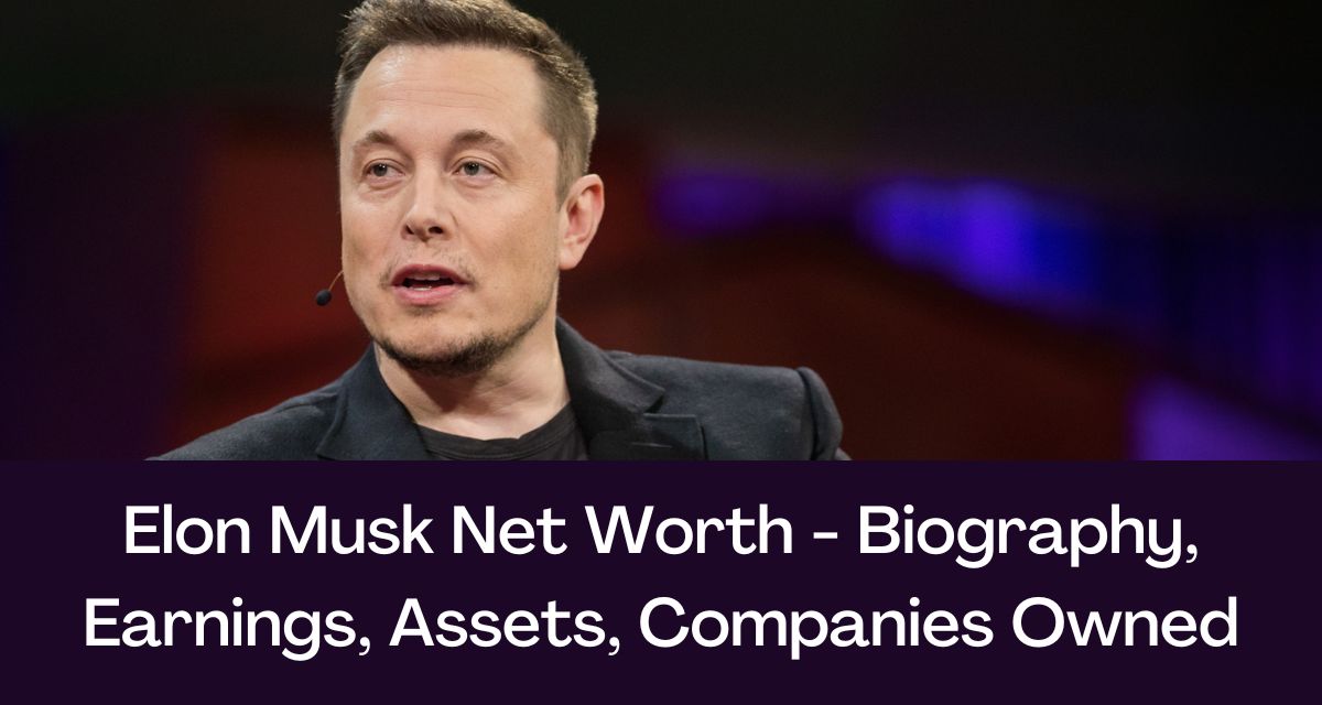 Elon Musk's Financial Empire: From PayPal To SpaceX And Beyond Elon Musk's Financial Empire: From PayPal To SpaceX And Beyond