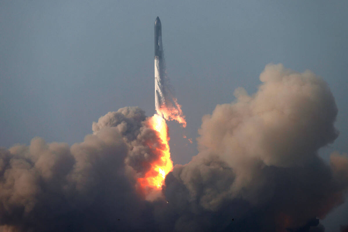Elon Musk's Wealth Explodes: Tesla's Rise Post-Dogecoin Announcement