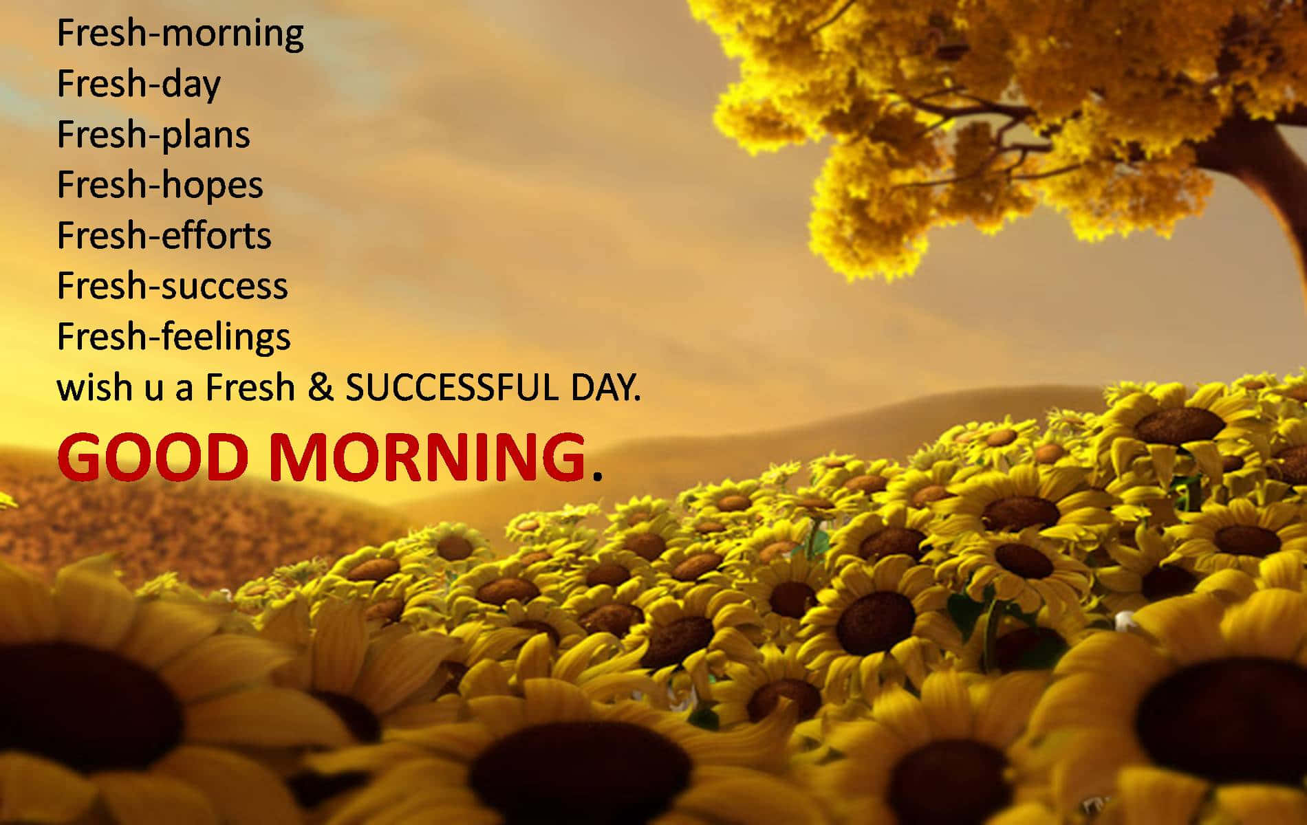 Émission Good Morning Business Du 3 Mars : Points Clés Et Analyses Émission Good Morning Business Du 3 Mars : Points Clés Et Analyses