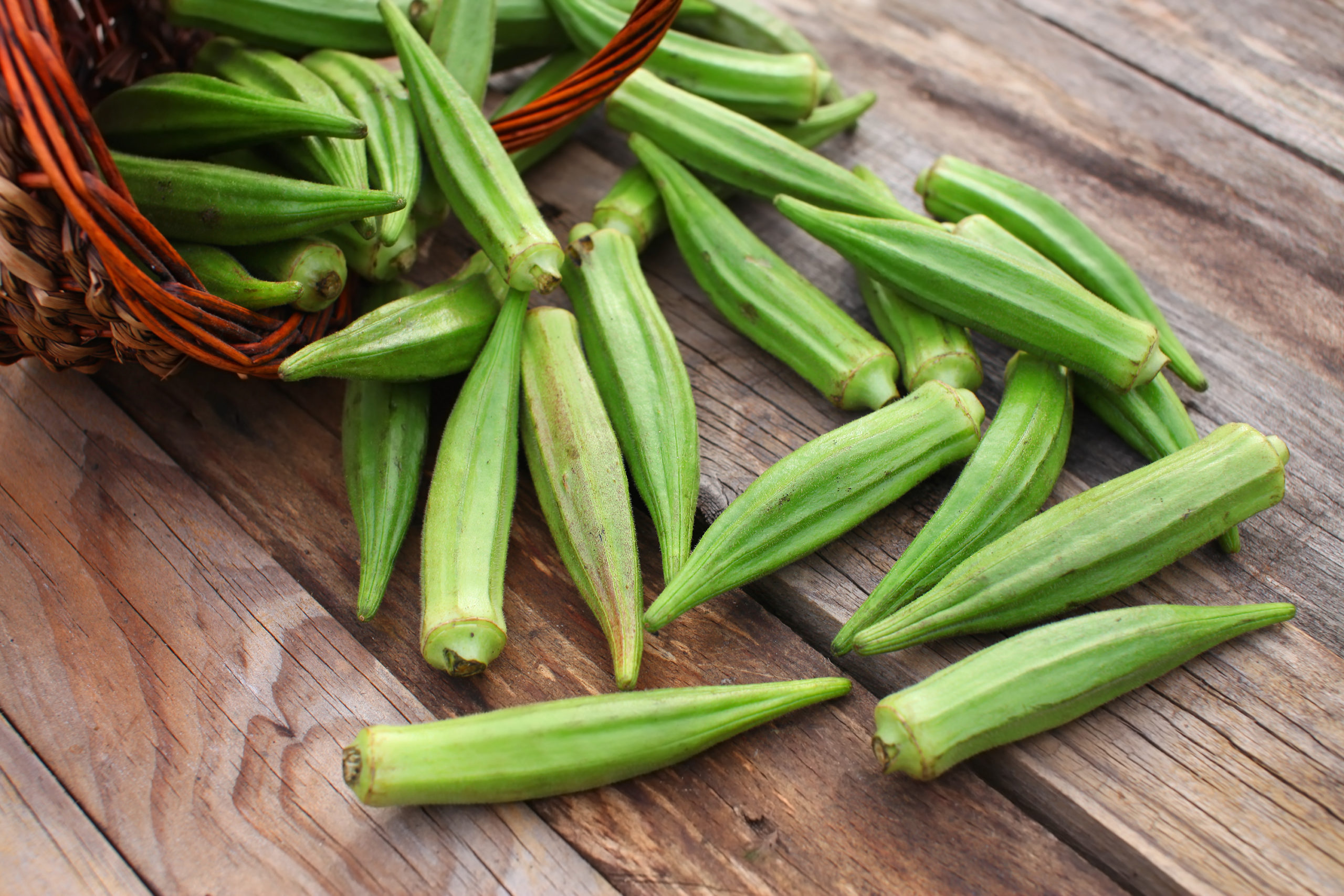 Envejecimiento Saludable: Un Superalimento Que Debes Conocer (y No Es El Arándano) Envejecimiento Saludable: Un Superalimento Que Debes Conocer (y No Es El Arándano)