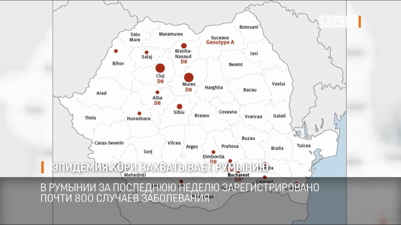 Эпидемия Кори В Монголии: Система Здравоохранения На Пределе Возможностей