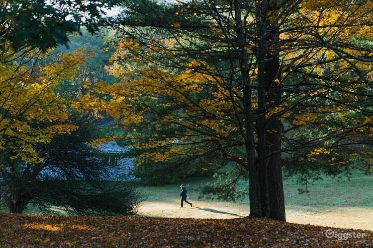 Escape To The Country: Top Locations For A Tranquil Life Escape To The Country: Top Locations For A Tranquil Life