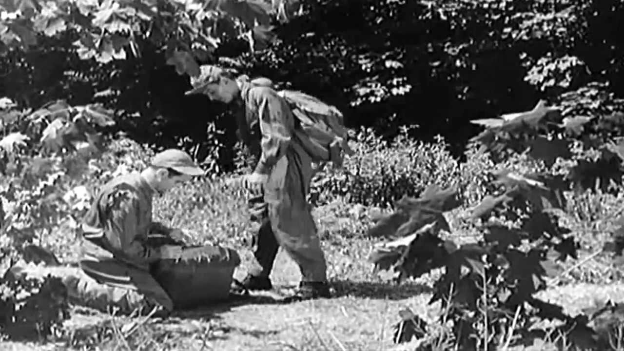 Evading Capture: The Role Of Terrain In Northern Arkansas Escapes Evading Capture: The Role Of Terrain In Northern Arkansas Escapes
