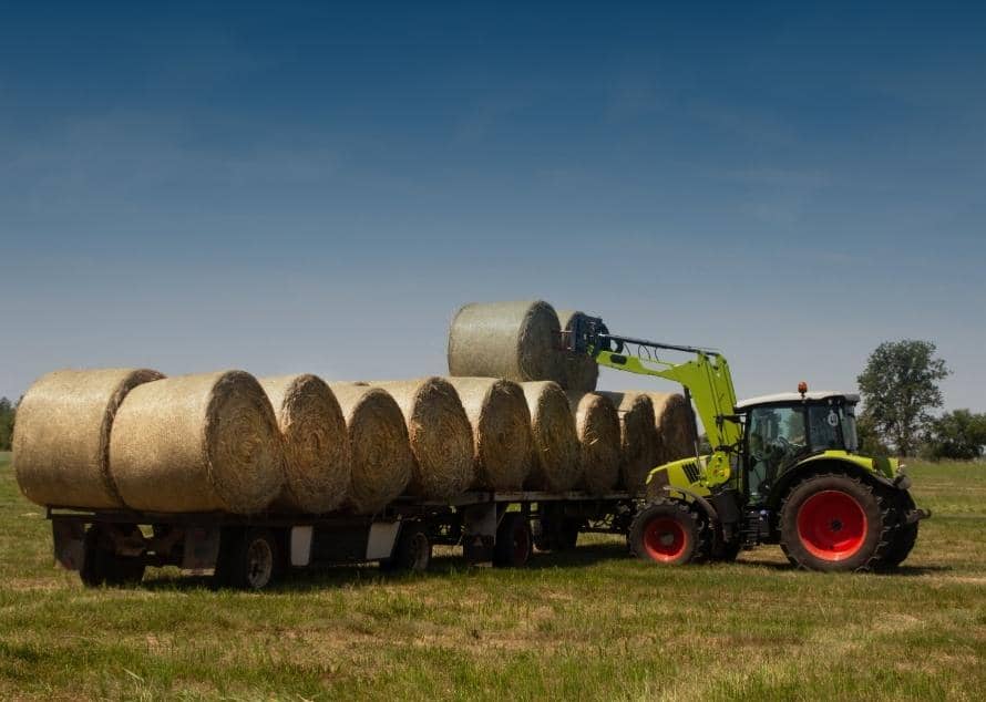 Examining Reform UK's Plans For The UK Farming Industry Examining Reform UK's Plans For The UK Farming Industry