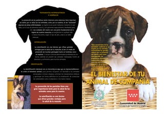 Experiencias Deleznables: Una Guía A Las Euforias Experiencias Deleznables: Una Guía A Las Euforias