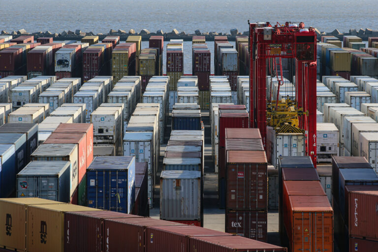 Exportaciones Ganaderas Uruguayas: Un Regalo Inusual Con Impacto En China Exportaciones Ganaderas Uruguayas: Un Regalo Inusual Con Impacto En China