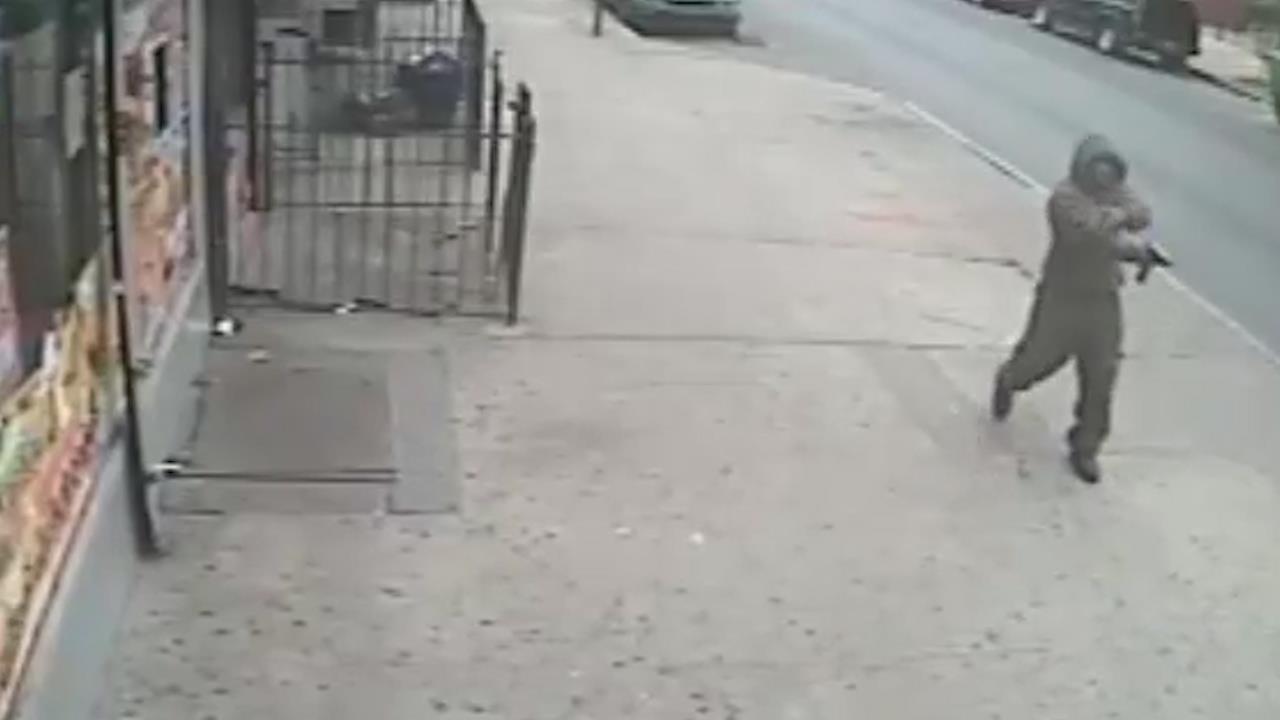 Fatal Shooting In Brooklyn Bridge Park: Police Investigation Fatal Shooting In Brooklyn Bridge Park: Police Investigation