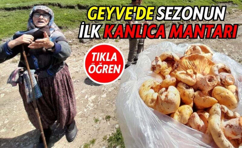 Fenerbahçe'de Sezonun İlk Ayrılığı: Tadic Yeni Takımında! Fenerbahçe'de Sezonun İlk Ayrılığı: Tadic Yeni Takımında!