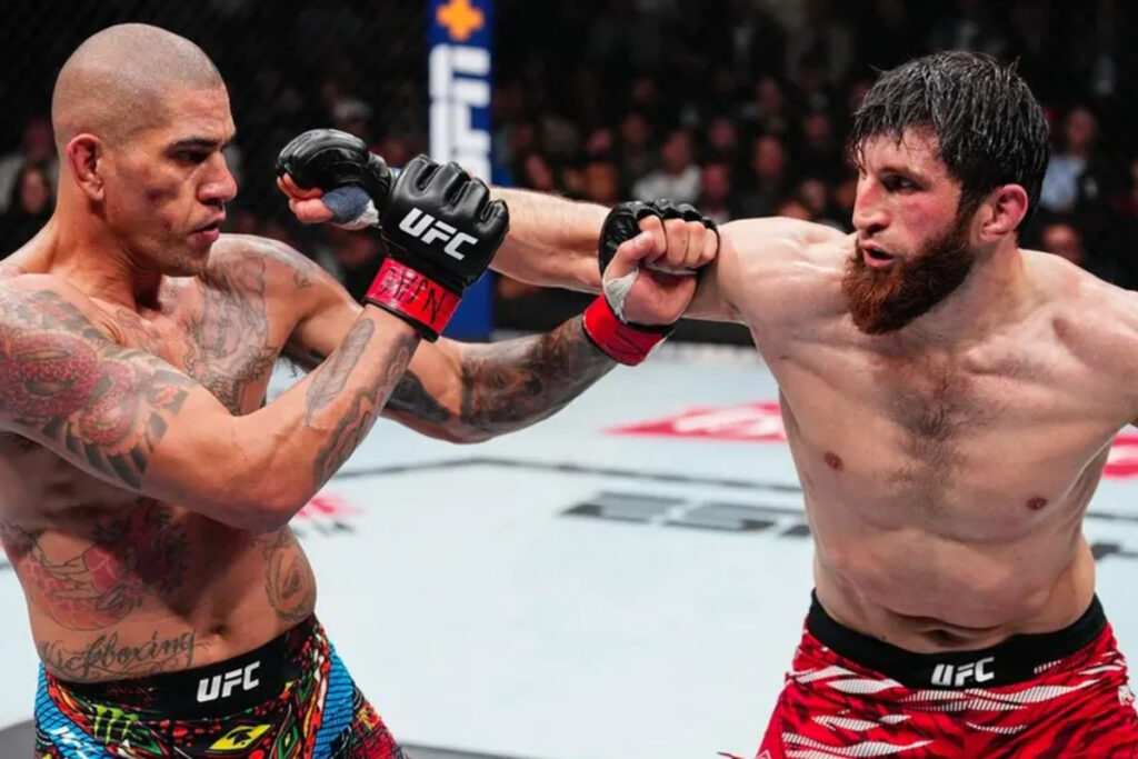 Fighter's Honest Confession: Was The UFC 313 Decision A Robbery? Fighter's Honest Confession: Was The UFC 313 Decision A Robbery?