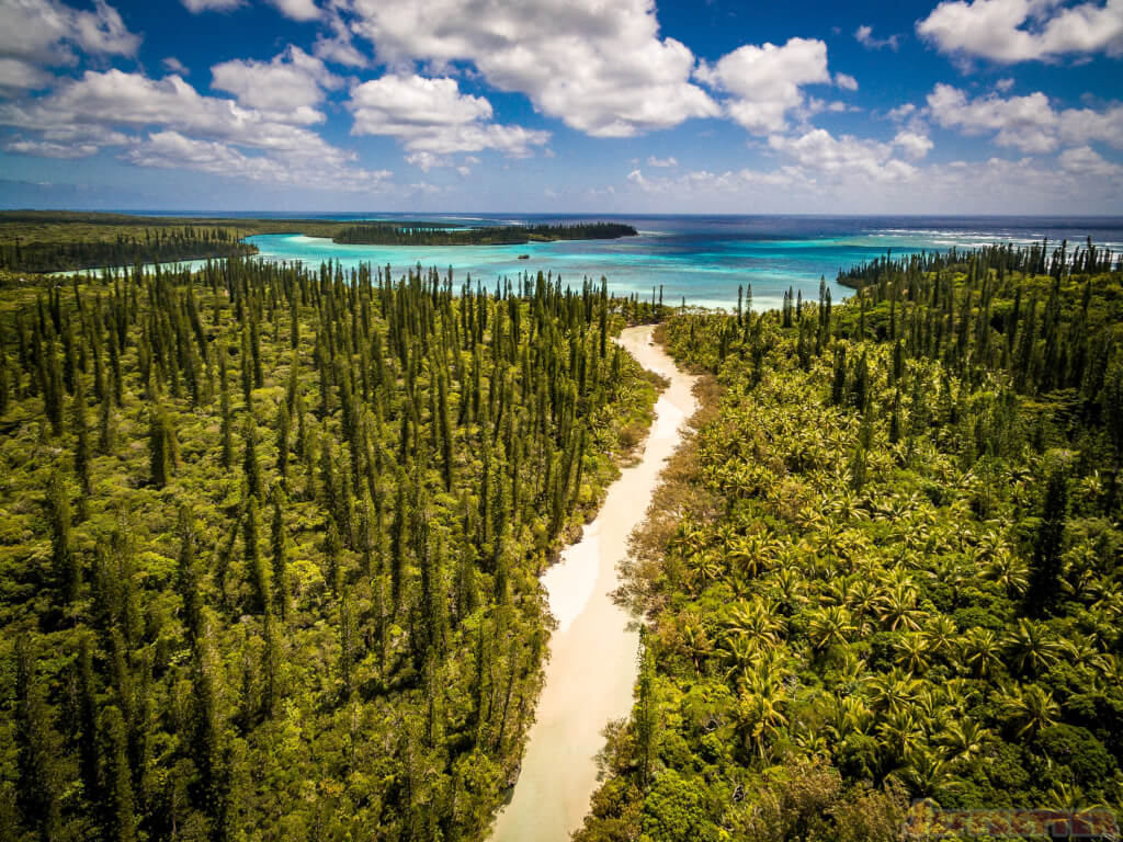 French Minister Valls's Third Trip To New Caledonia: A Call For Accountability French Minister Valls's Third Trip To New Caledonia: A Call For Accountability