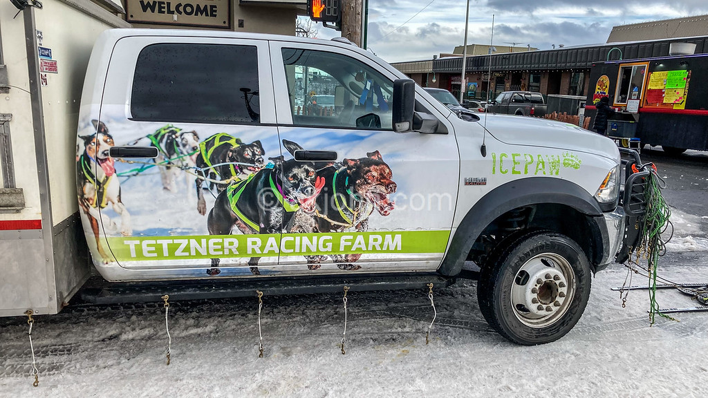 Fur Rondy's Condensed Race: A Test Of Endurance For Mushers Fur Rondy's Condensed Race: A Test Of Endurance For Mushers