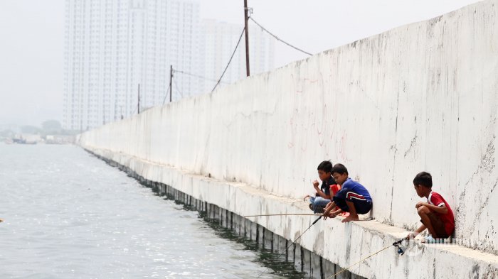 Giant Sea Wall: Solusi Banjir Dan Investasi Menjanjikan Giant Sea Wall: Solusi Banjir Dan Investasi Menjanjikan