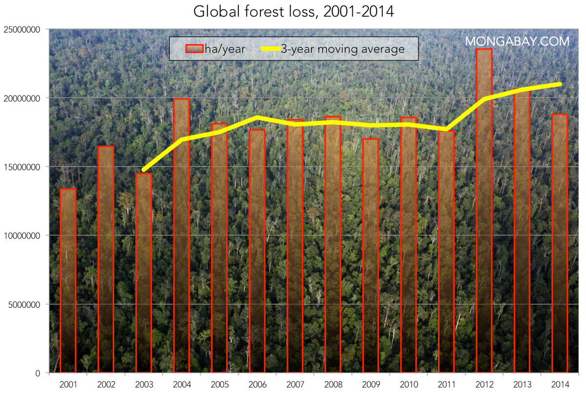 Global Forest Loss: A Record-Breaking Year Of Wildfire Devastation Global Forest Loss: A Record-Breaking Year Of Wildfire Devastation
