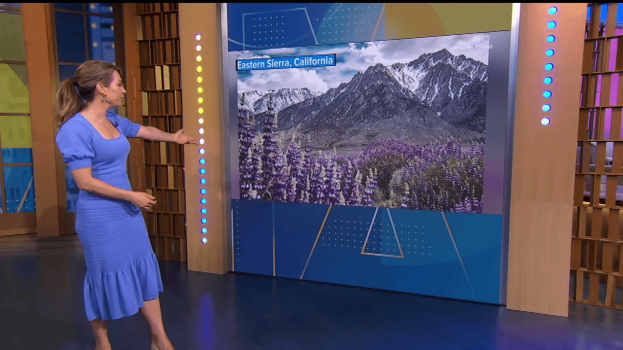 GMA's Ginger Zee Addresses Critic's Comments On Her Appearance GMA's Ginger Zee Addresses Critic's Comments On Her Appearance