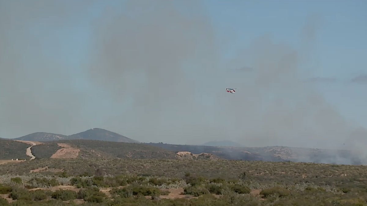 Gran Incendio Forestal En Constanza: Bomberos Combaten Las Llamas Gran Incendio Forestal En Constanza: Bomberos Combaten Las Llamas