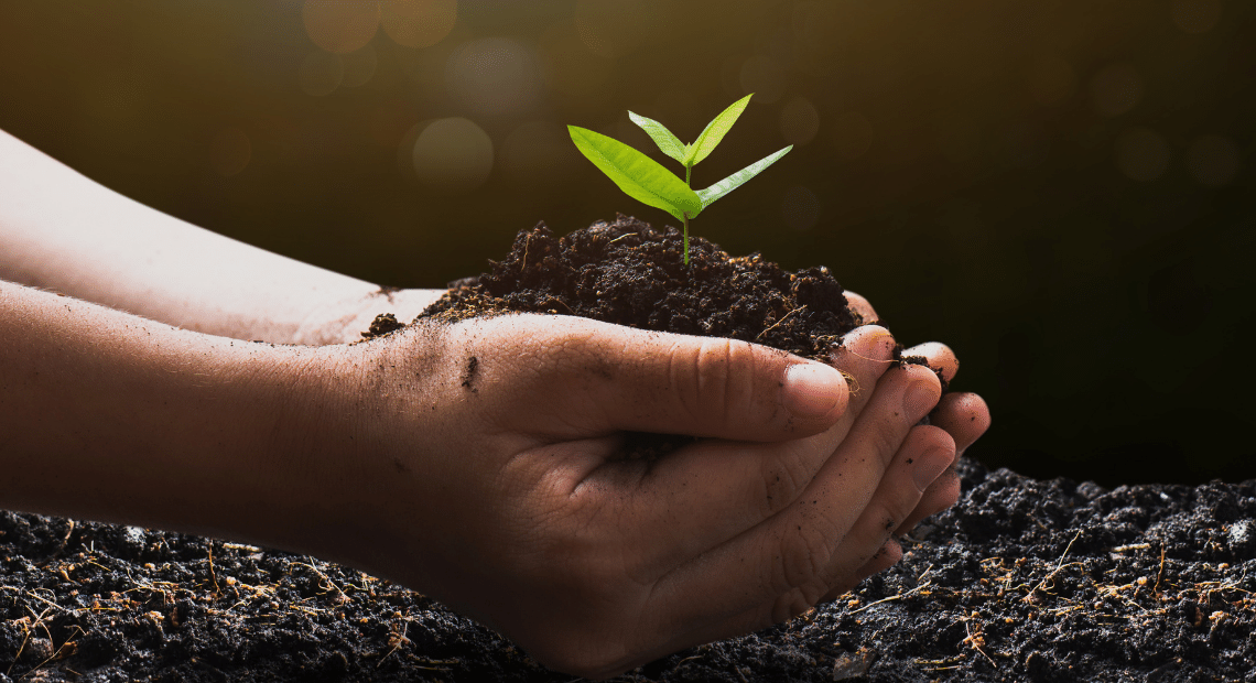 Grants And Loans: Financial Support For Eco-Friendly SMEs Grants And Loans: Financial Support For Eco-Friendly SMEs