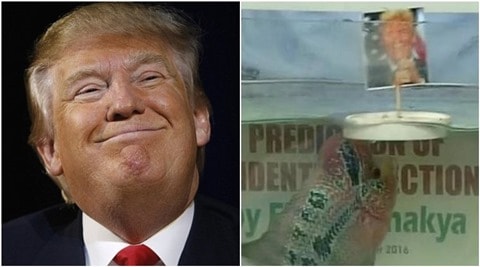 Have Egg Prices Proven Trump Right? A Deep Dive Have Egg Prices Proven Trump Right? A Deep Dive