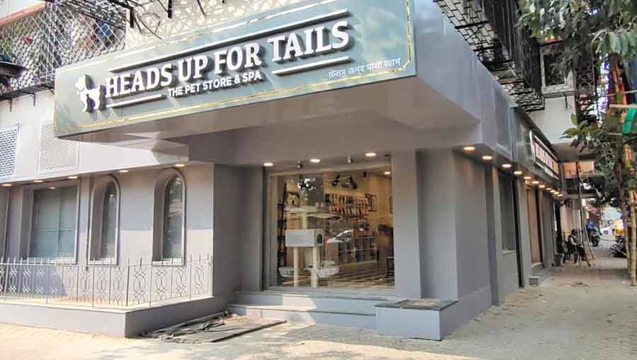 Heads Up For Tails And Uber: Easier Pet Travel In Delhi And Mumbai Heads Up For Tails And Uber: Easier Pet Travel In Delhi And Mumbai