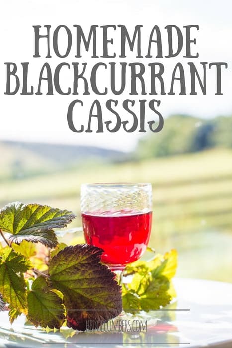 Health Benefits And Nutritional Information Of Cassis Blackcurrant Health Benefits And Nutritional Information Of Cassis Blackcurrant