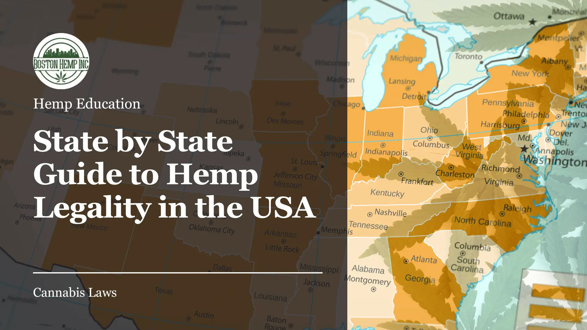 Hemp Legality In Georgia: Your Guide To Safe And Legal Purchases Hemp Legality In Georgia: Your Guide To Safe And Legal Purchases