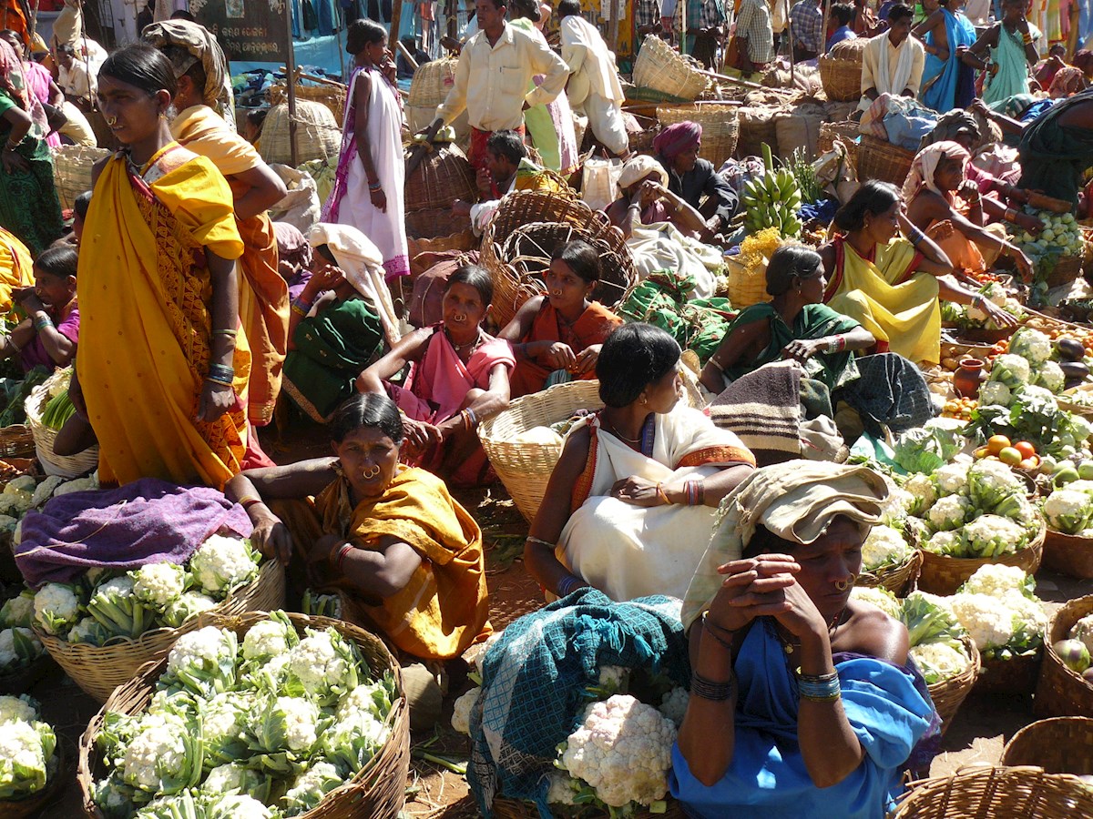Hoe Brekelmans India Zo Veel Mogelijk Aan Zijn Zijde Houdt Hoe Brekelmans India Zo Veel Mogelijk Aan Zijn Zijde Houdt