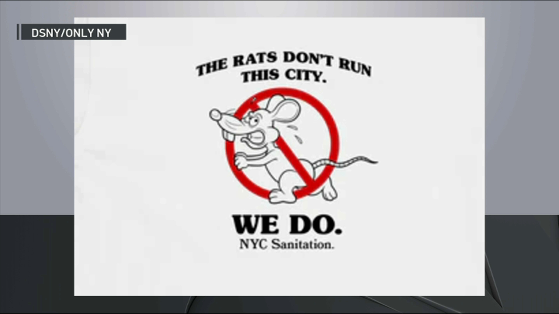 Houston's Unexpected Crisis: Rats And Drug Addiction Houston's Unexpected Crisis: Rats And Drug Addiction