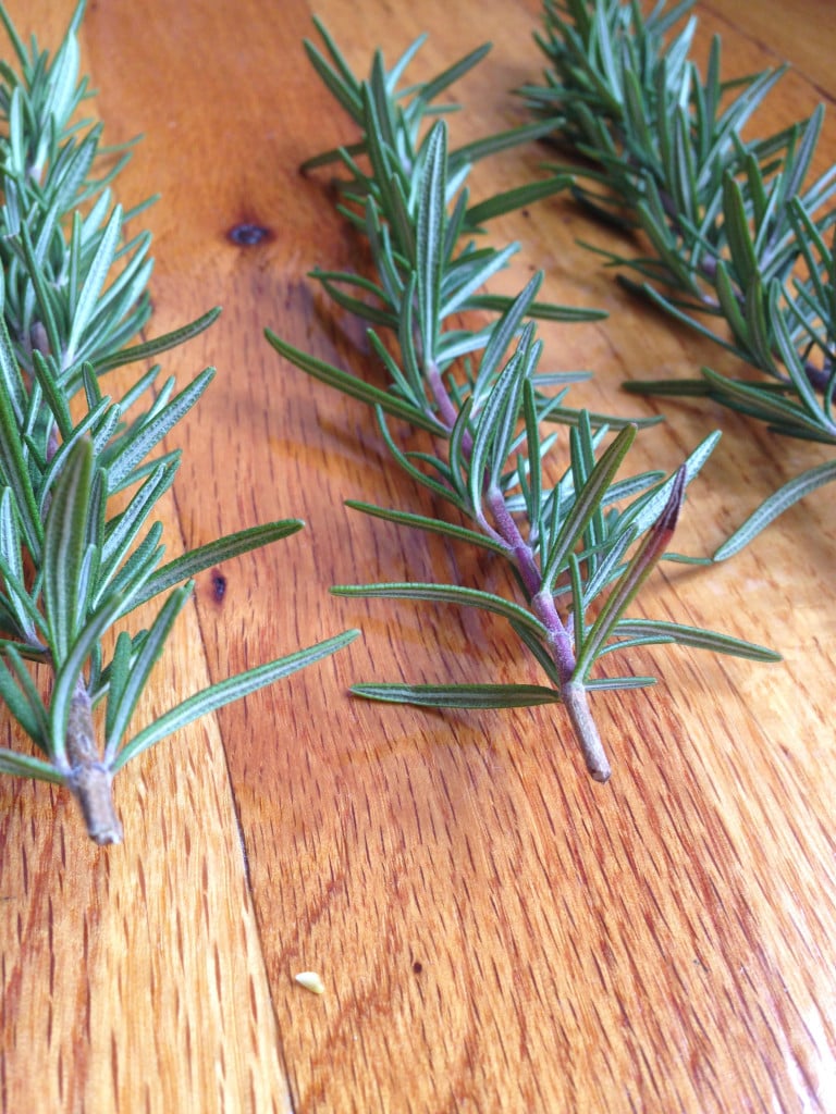How To Propagate Rosemary & Thyme: Simple Steps For Success How To Propagate Rosemary & Thyme: Simple Steps For Success