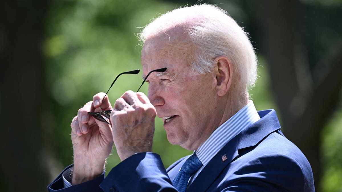 Hunter Biden Audio Recordings And President Biden's Mental Capacity: An Analysis Hunter Biden Audio Recordings And President Biden's Mental Capacity: An Analysis