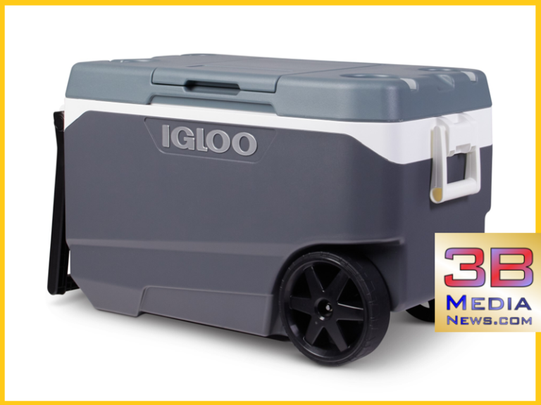 Igloo Cooler Recall: Walmart Issues Nationwide Warning Over Safety Risk Igloo Cooler Recall: Walmart Issues Nationwide Warning Over Safety Risk