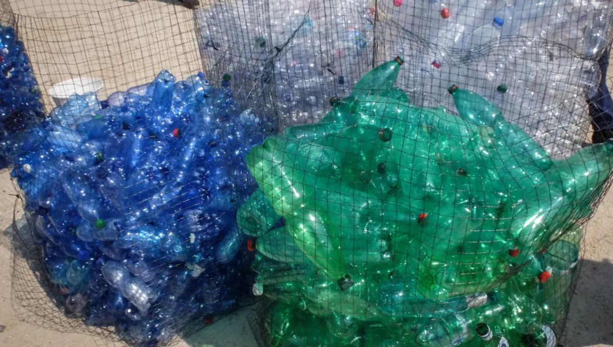 In Quale Acqua Troviamo Più Microplastiche? In Quale Acqua Troviamo Più Microplastiche?