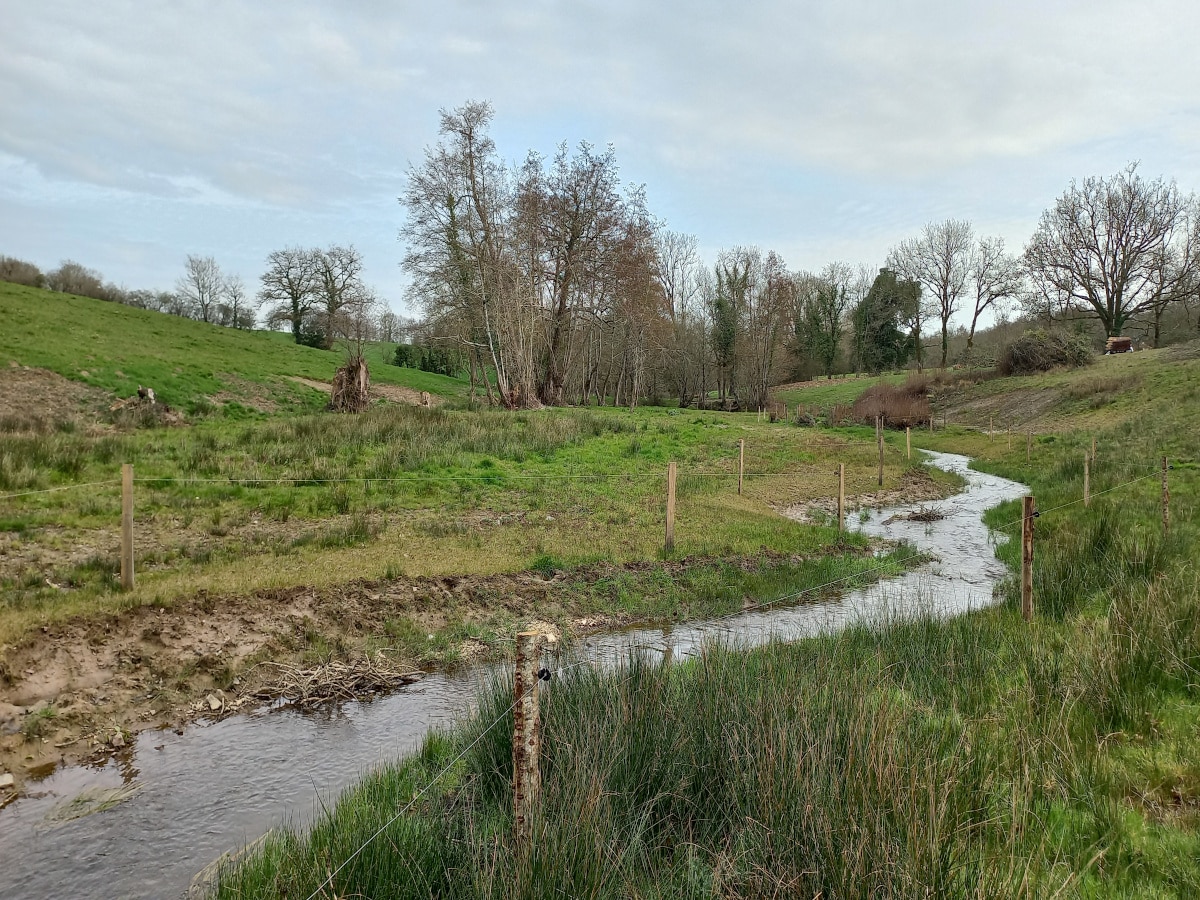 Ingénierie Castor : Tests Comparatifs Dans Deux Cours D'eau De La Drôme Ingénierie Castor : Tests Comparatifs Dans Deux Cours D'eau De La Drôme