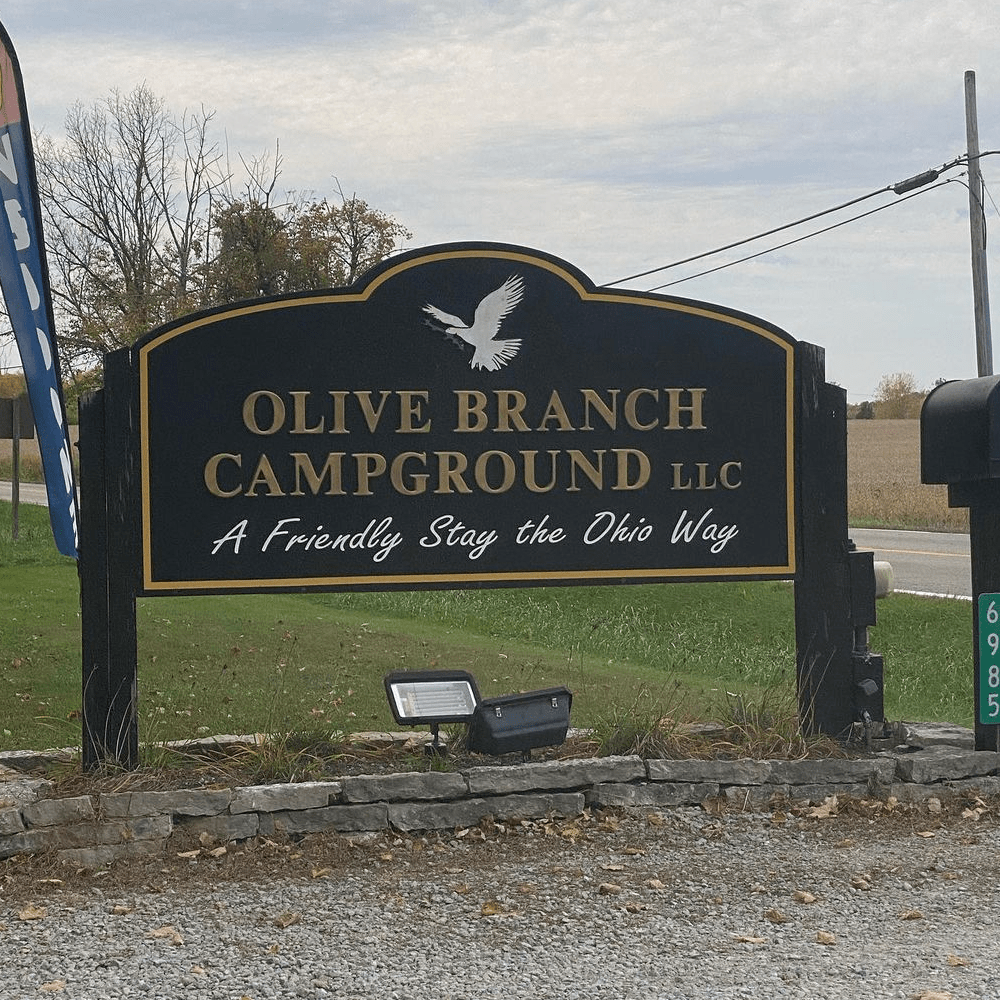 Invest In Olive Branch's Future: Pickleball Court Development Invest In Olive Branch's Future: Pickleball Court Development