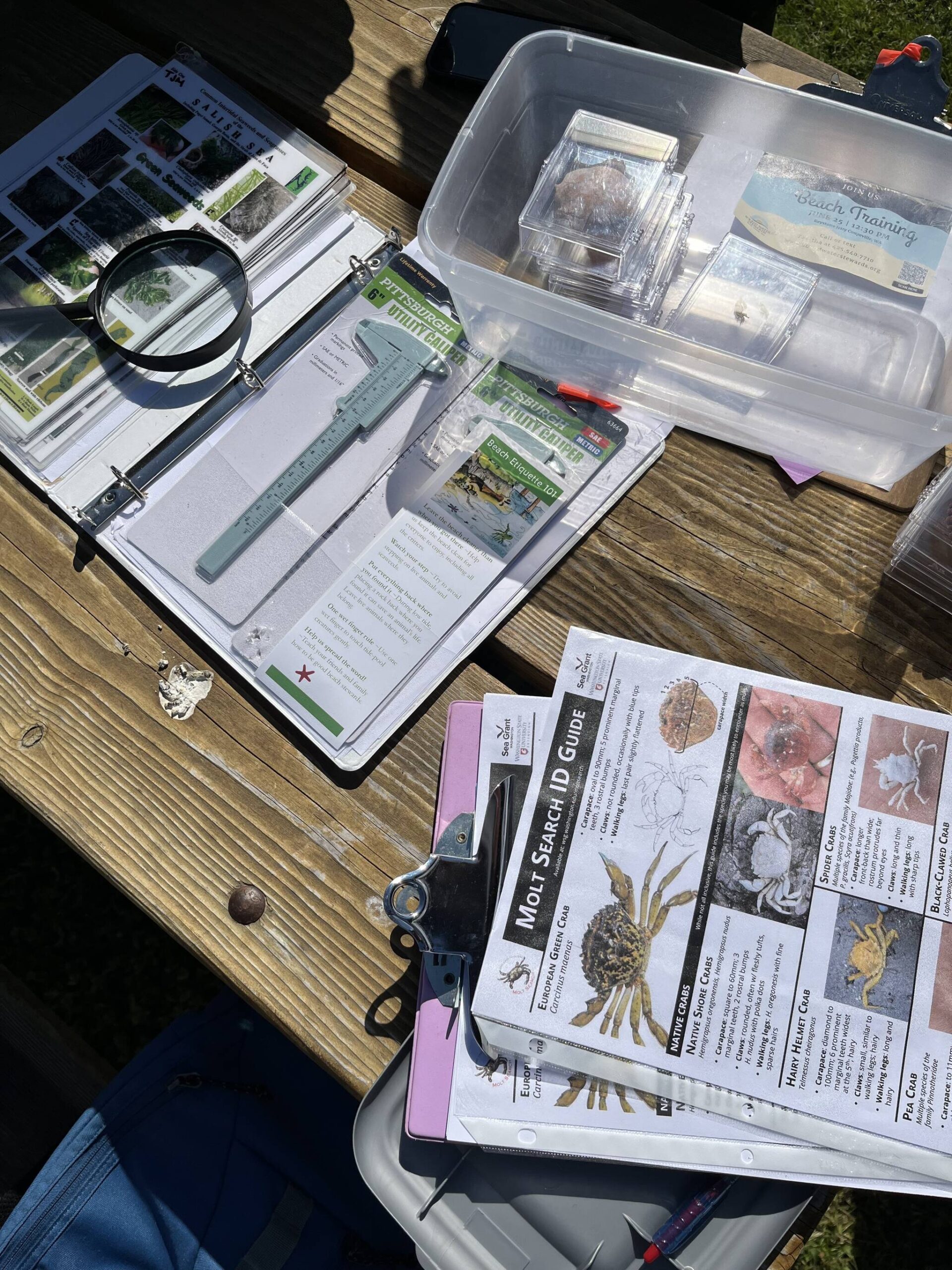 Investigating Whidbey Clams: Citizen Scientists Lead The Way Investigating Whidbey Clams: Citizen Scientists Lead The Way