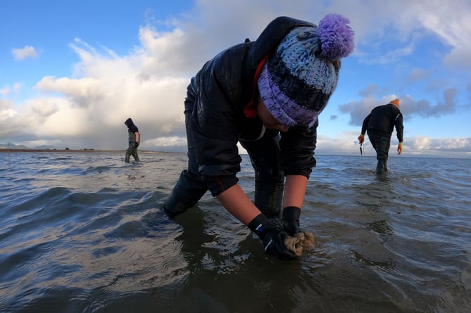 Investing In Scotland's Future: The Role Of Seagrass Planting In Coastal Regeneration Investing In Scotland's Future: The Role Of Seagrass Planting In Coastal Regeneration