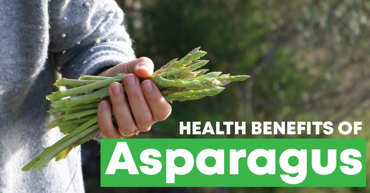 Is Asparagus Good For You? Exploring The Nutritional Powerhouse Is Asparagus Good For You? Exploring The Nutritional Powerhouse